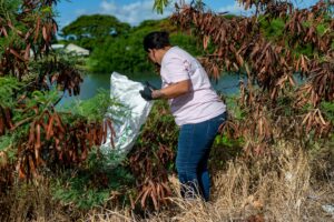 communities launch cleanup — Photo by Alfo Medeiros on Pexels