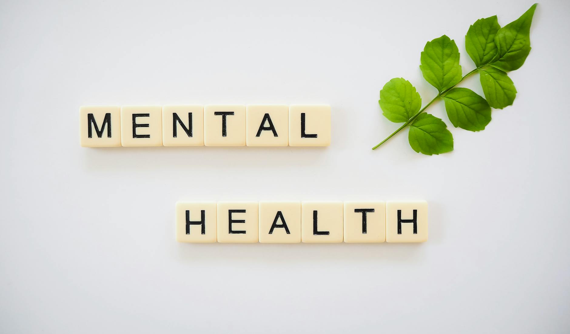 WARNING: FACEBOOK MENTAL HEALTH DOCUMENTS HIDDEN COURT