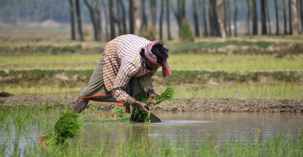 farmers crisis agriculture — Photo by Sajal's Gallery on Pexels