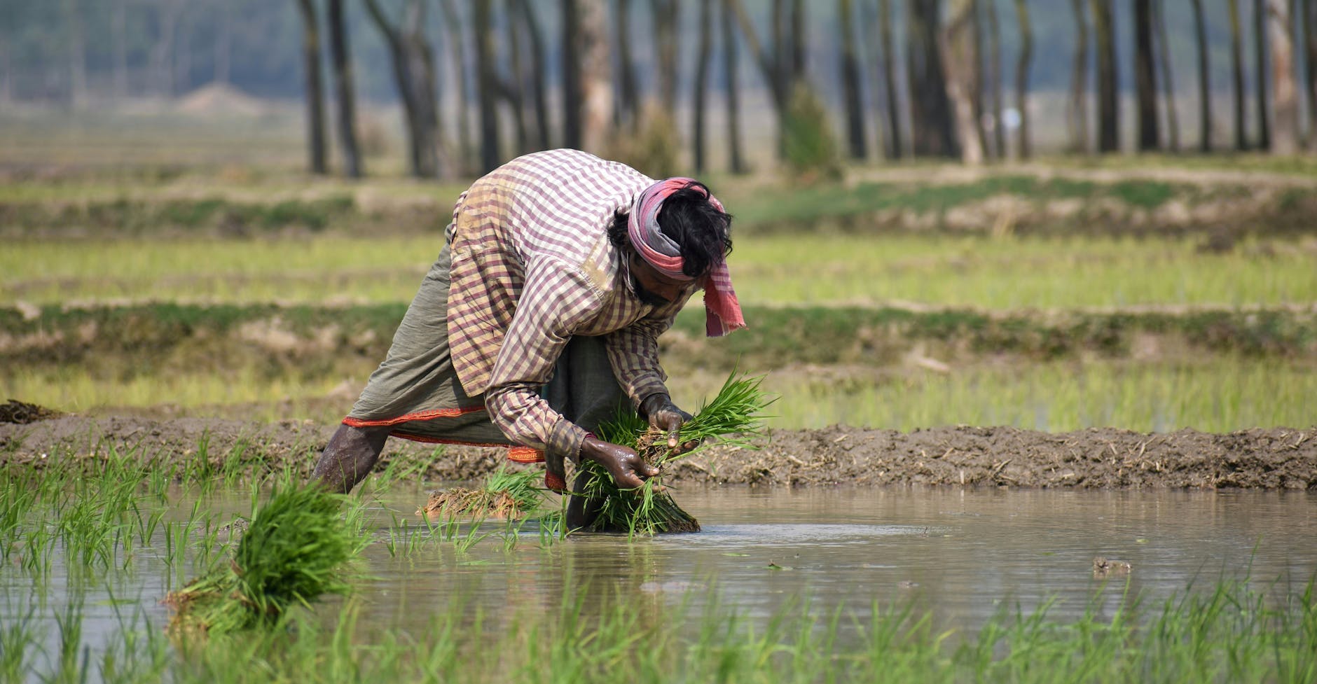 CORRUPTION EXPOSED: Farmers Face Financial Catastrophe Amid Skyrocketing Costs