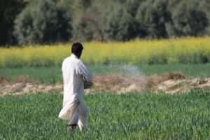 farmers crisis fertilizer fuel — Photo by Dr Photographer on Pexels