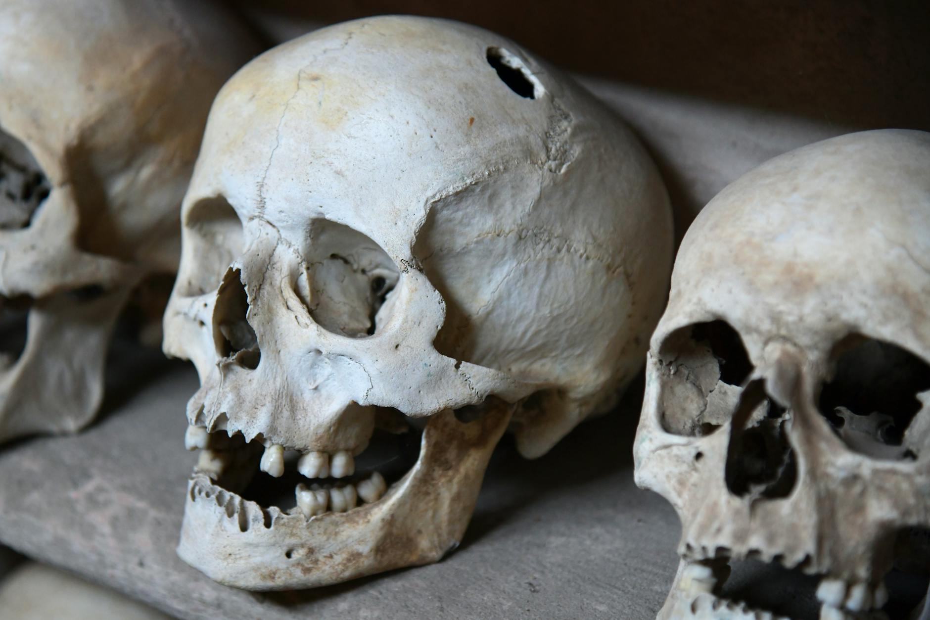 EXCLUSIVE: FENTANYL DEATHS RECORD 100000 AMERICANS ANNUALLY