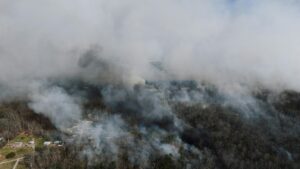 Georgia wildfire smoke — Photo by K on Pexels