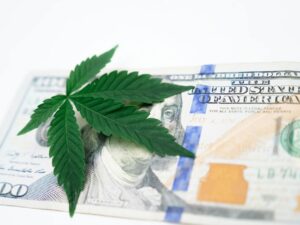 marijuana economy growth — Photo by Kindel Media on Pexels