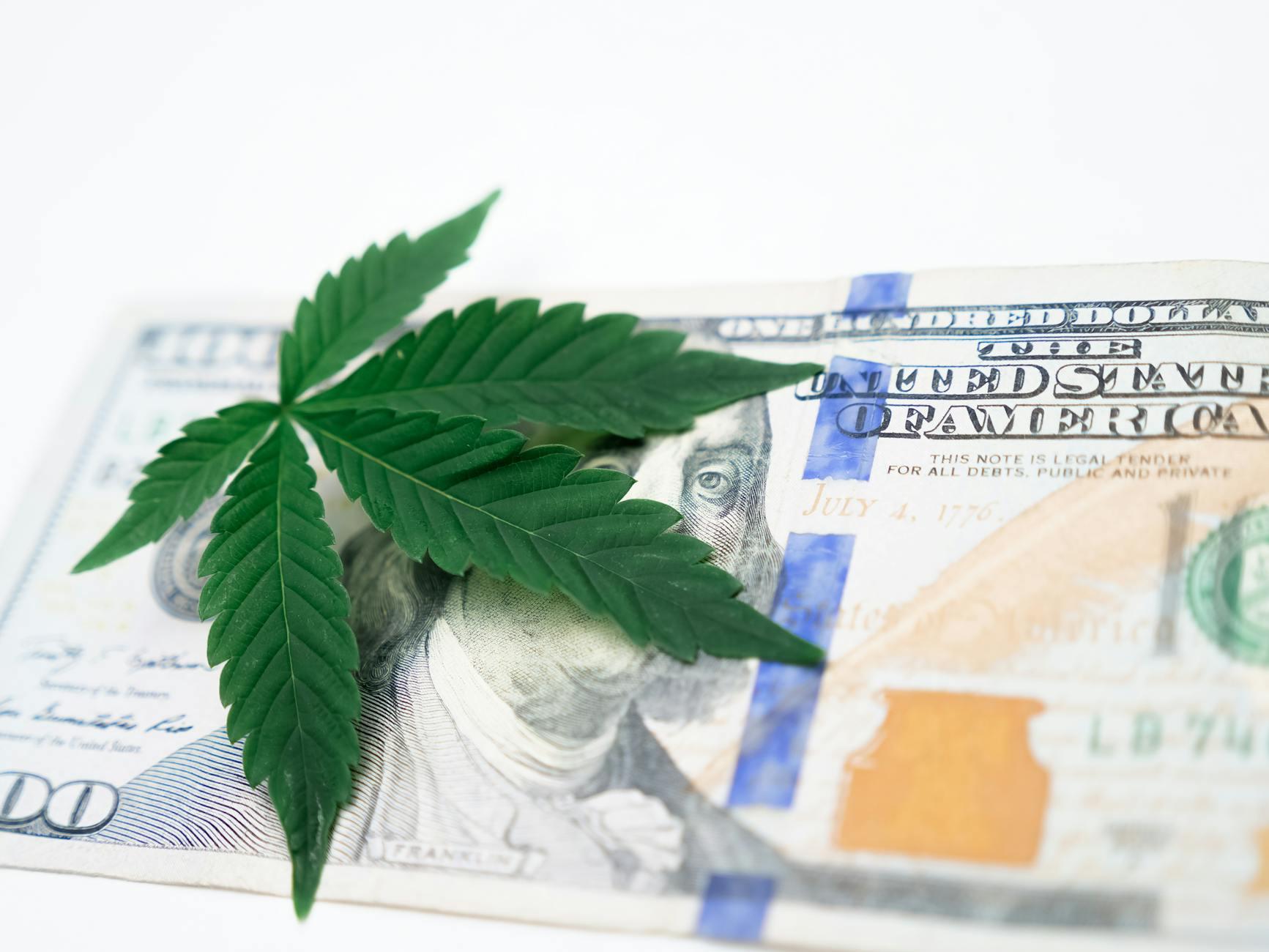 EXPOSED: New Marijuana Rules Ignite Economic Change in America