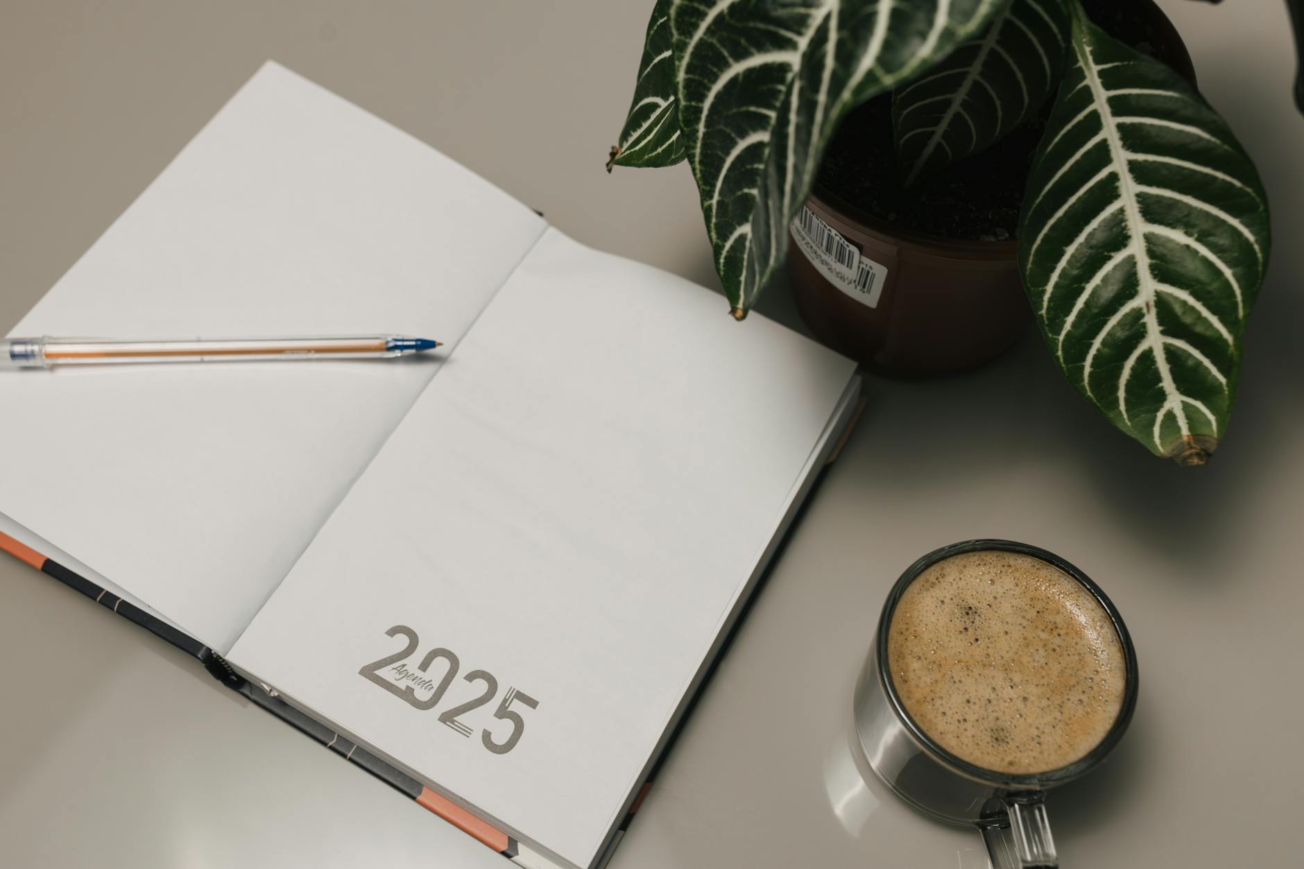 Medicare Open Enrollment 2025: The Deadlines You Cannot Miss