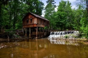 mills drops out — Photo by Pixabay on Pexels