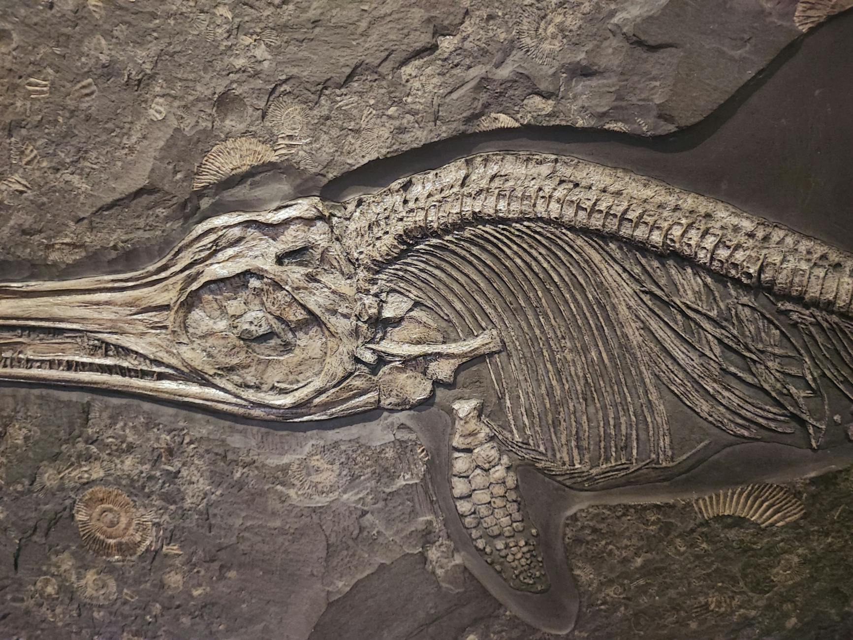 OBTAINED EXCLUSIVELY: A Real-Life Kraken Stalked Our Seas — Shocking Data Revealed