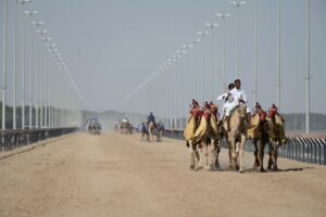 the united arab — Photo by Miguel Cuenca on Pexels