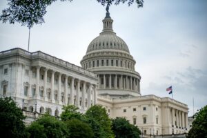 three gop senators — Photo by Ramaz Bluashvili on Pexels