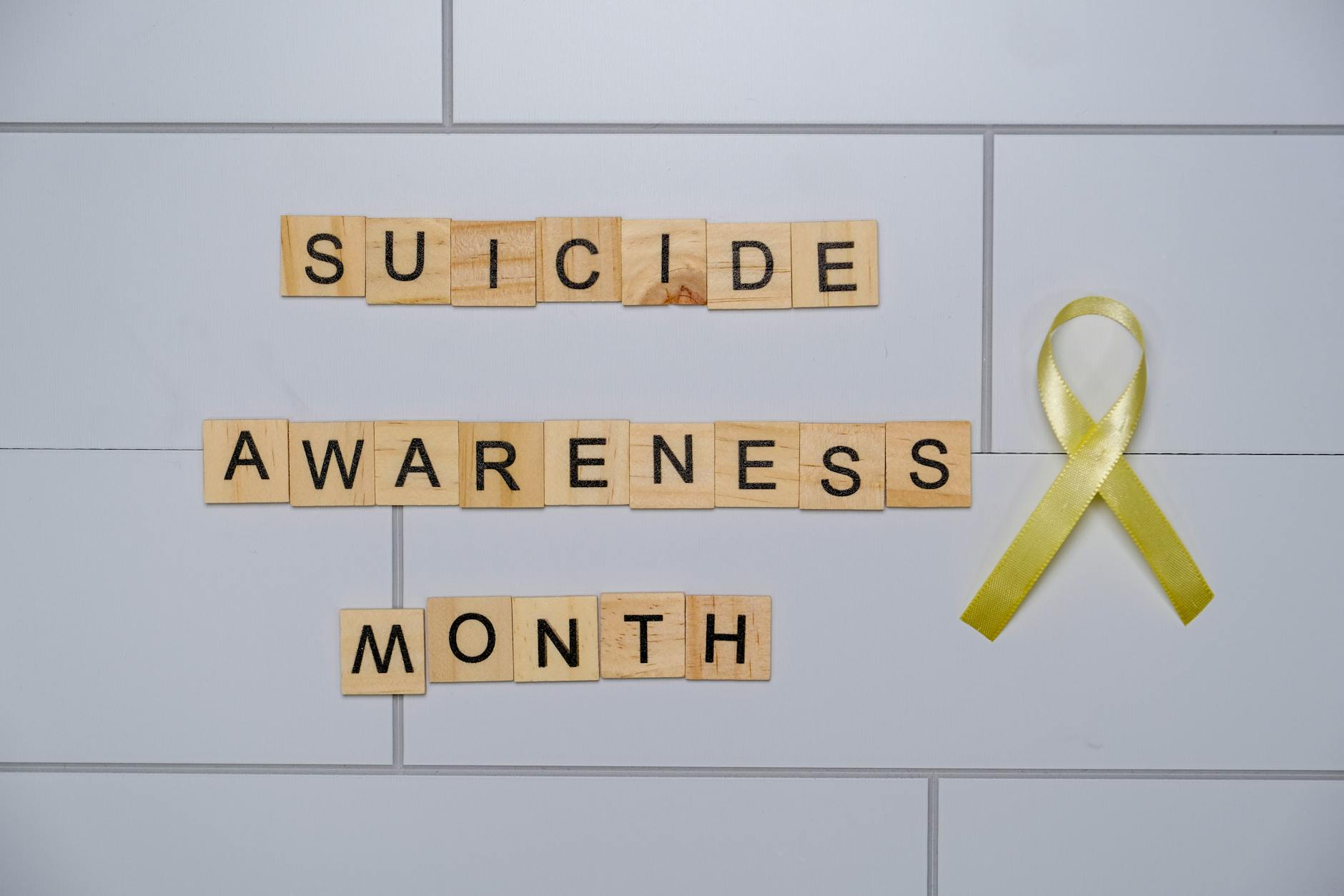 ANALYSIS: VETERAN SUICIDE CRISIS 22 PER DAY IGNORED