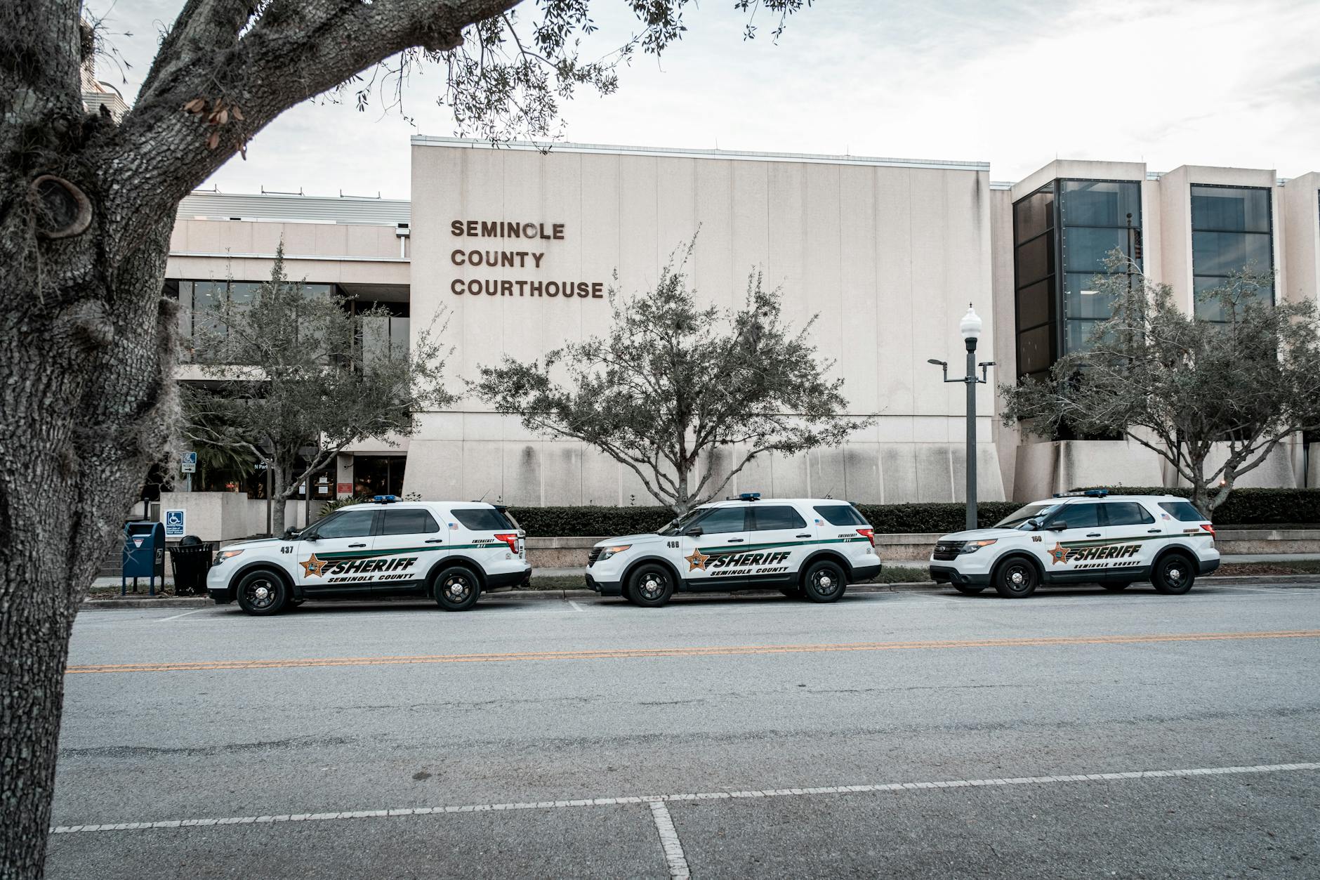 COMING SOON: ARIZONA COUNTY SHERIFF AFFIRMS PROGRESS IN NANCY GUTHRIE CASE MON