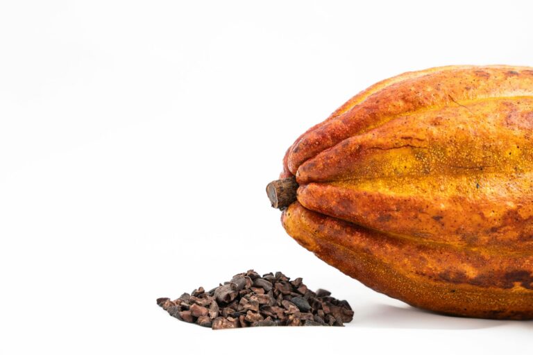 THE TRUTH ABOUT EVERY CACAO IS DIFFERENT  A NEW WORLDWIDE PROGRAM EVALUATES CACAO