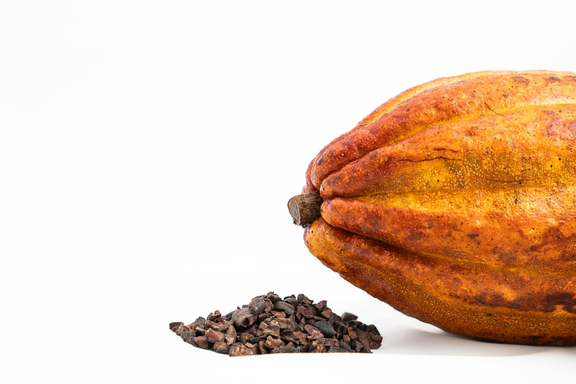 THE TRUTH ABOUT EVERY CACAO IS DIFFERENT  A NEW WORLDWIDE PROGRAM EVALUATES CACAO
