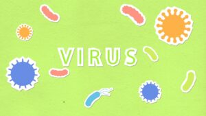 hantavirus outbreak kills — Photo by Monstera Production on Pexels