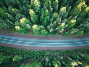oregon apos s — Photo by Ertabbt on Pexels