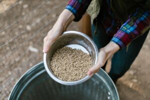 pellet found in — Photo by RDNE Stock project on Pexels
