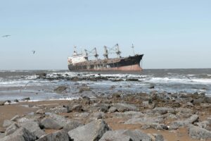 timmy the stranded — Photo by Rain Lü on Pexels