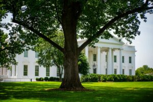 trump uses ai — Photo by Ramaz Bluashvili on Pexels