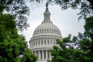wyoming lawmakers use — Photo by Ramaz Bluashvili on Pexels