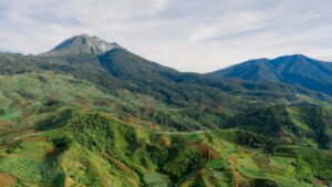 apos at — Photo by Dax Dexter Delada on Pexels