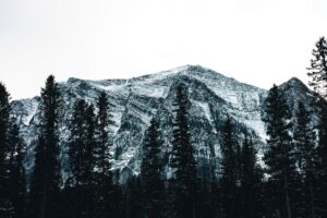 canada s soft — Photo by Ali Kazal on Pexels