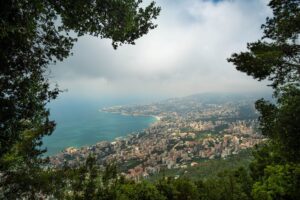 leading lebanese conservationist — Photo by Jo Kassis on Pexels