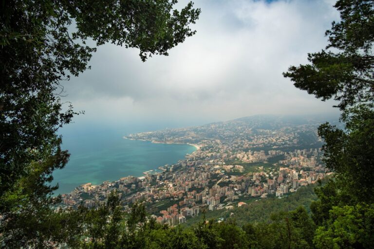 EXPOSED: LEADING LEBANESE CONSERVATIONIST DIES AFTER ISRAELI AIRSTRIKE ON