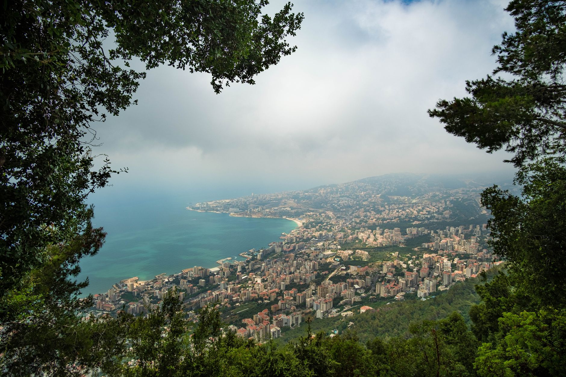 EXPOSED: LEADING LEBANESE CONSERVATIONIST DIES AFTER ISRAELI AIRSTRIKE ON