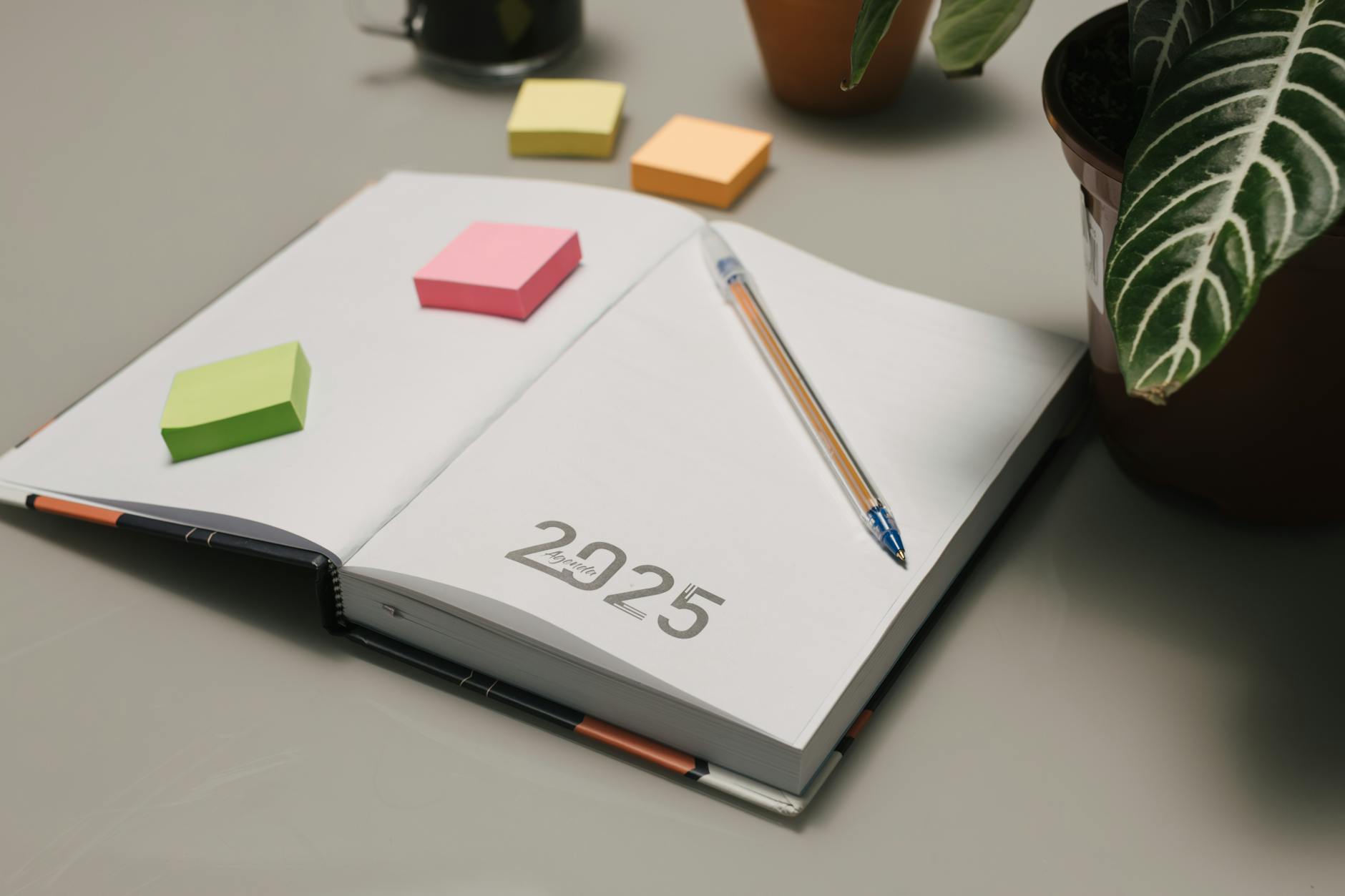 Medicare Open Enrollment 2025: The Deadlines You Cannot Miss