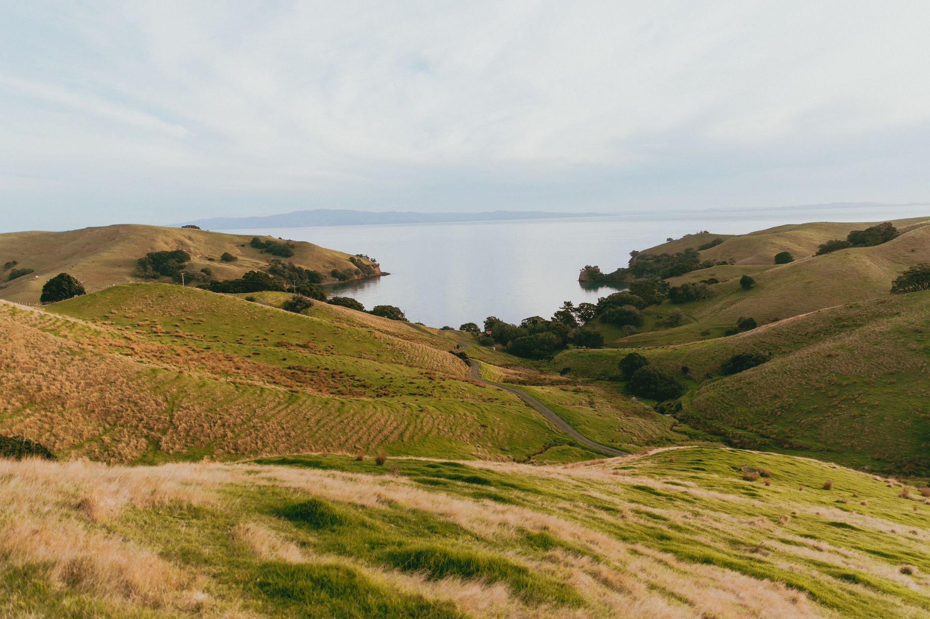 WHAT THEY WON’T TELL YOU: NEW ZEALAND   S DIPLOMATIC BREAKAWAY